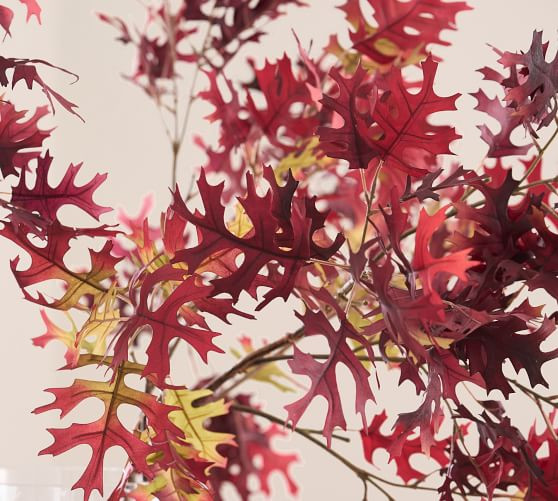Faux 45" Oversized Autumn Oak Branch | Pottery Barn (US)