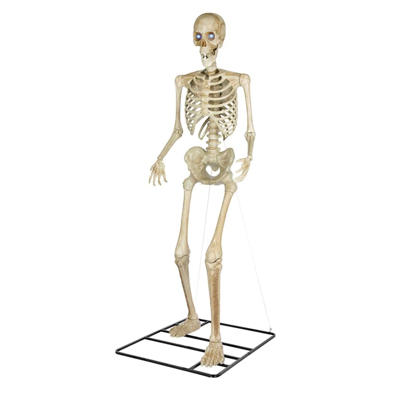Color Changing Posable Skeleton with Realistic LED Eyes, 10' | At Home