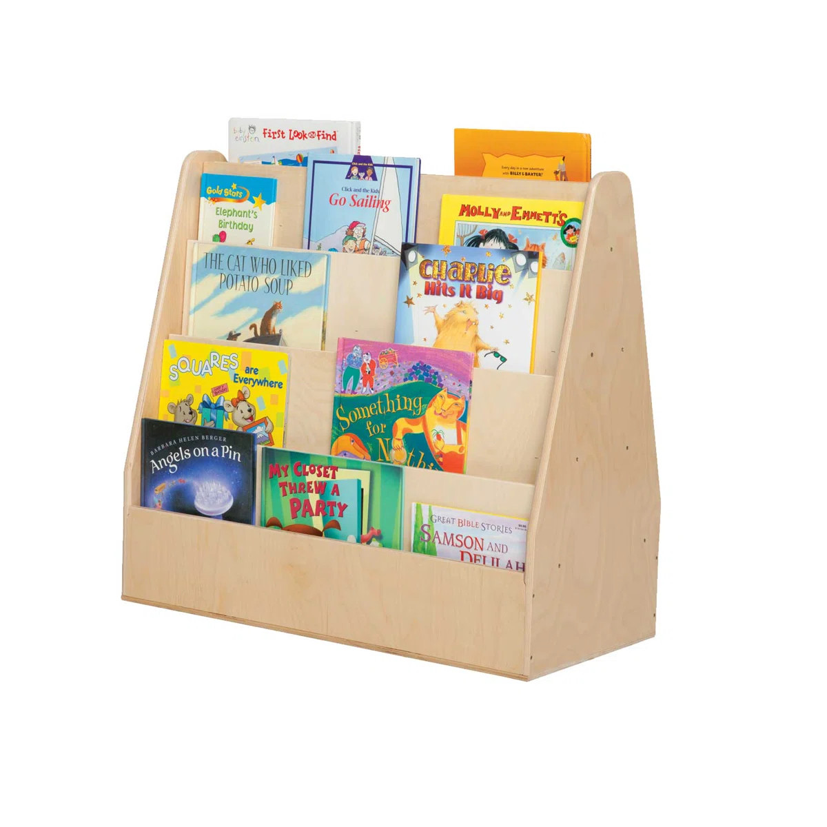 Contender Double Sided 8 Compartment Book Display | Wayfair North America