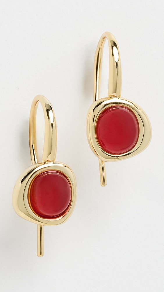 Amber Honey Hook Earrings | Shopbop