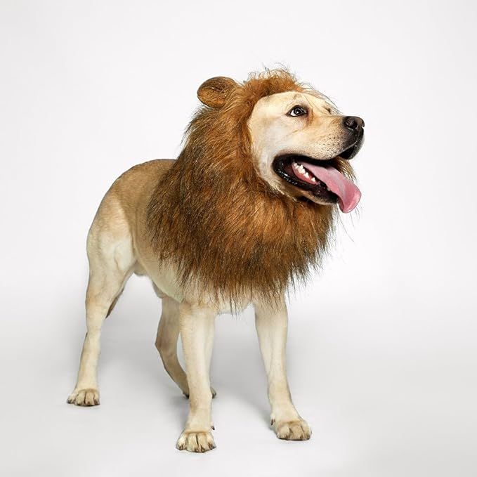 TOMSENN Dog Lion Mane - Realistic & Funny Lion Mane for Dogs - Complementary Lion Mane for Dog Co... | Amazon (US)