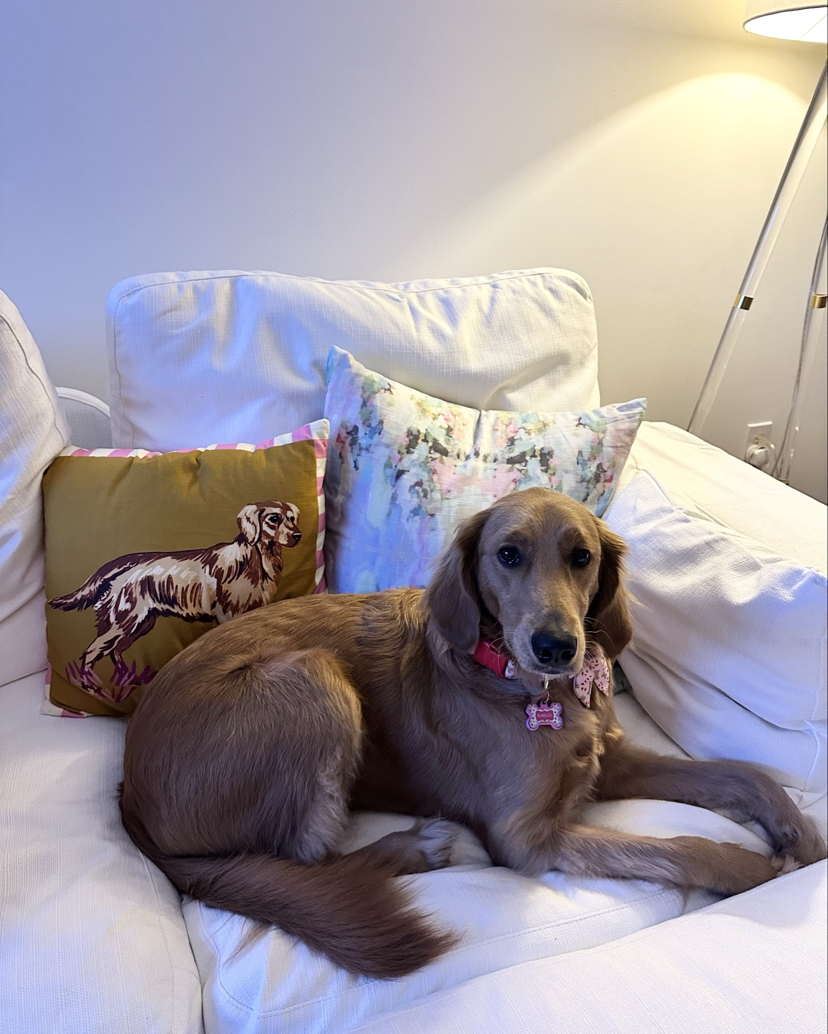 30% off anthro! love this pillow and so does Bubbles! 

#LTKGiftGuide #LTKCyberWeek #LTKHome