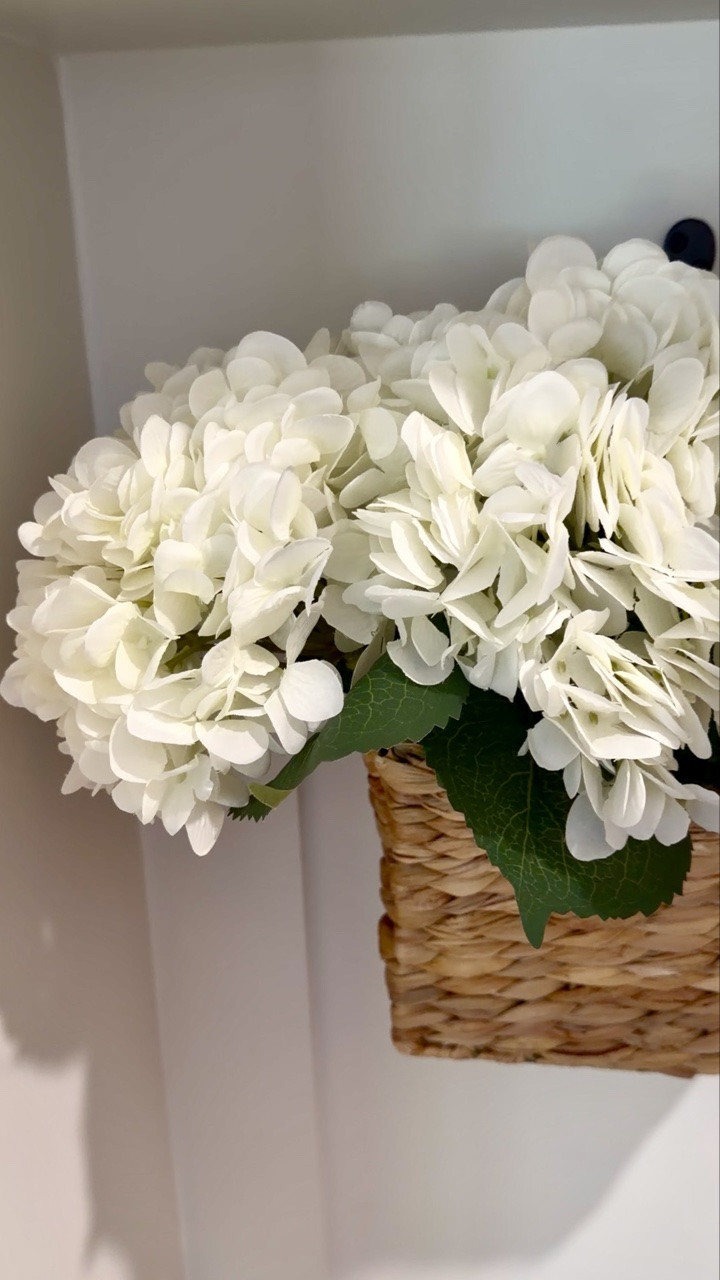 This took less than 5 minutes and somehow made my whole entryway feel more finished. ✨

I added these hanging baskets and faux hydrangeas to a little empty wall space, and now it feels like one of those small details that makes coming home a little sweeter.

Sometimes the tiniest updates make the biggest difference. 🌿

#ad @Wayfair #Wayfair #WayfairCreator #WayfairElevate

Follow along @styledwithpaws for more cozy home finds, affordable decor, and everyday moments. ✨

entryway decor | hanging baskets | faux hydrangeas | cozy home decor | cottage style home | home styling ideas | wall decor inspiration | Wayfair finds