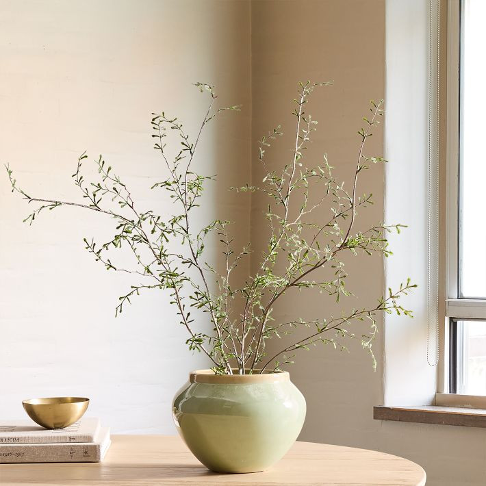 Faux Potted Sophora Prostrata Plant | West Elm (US)