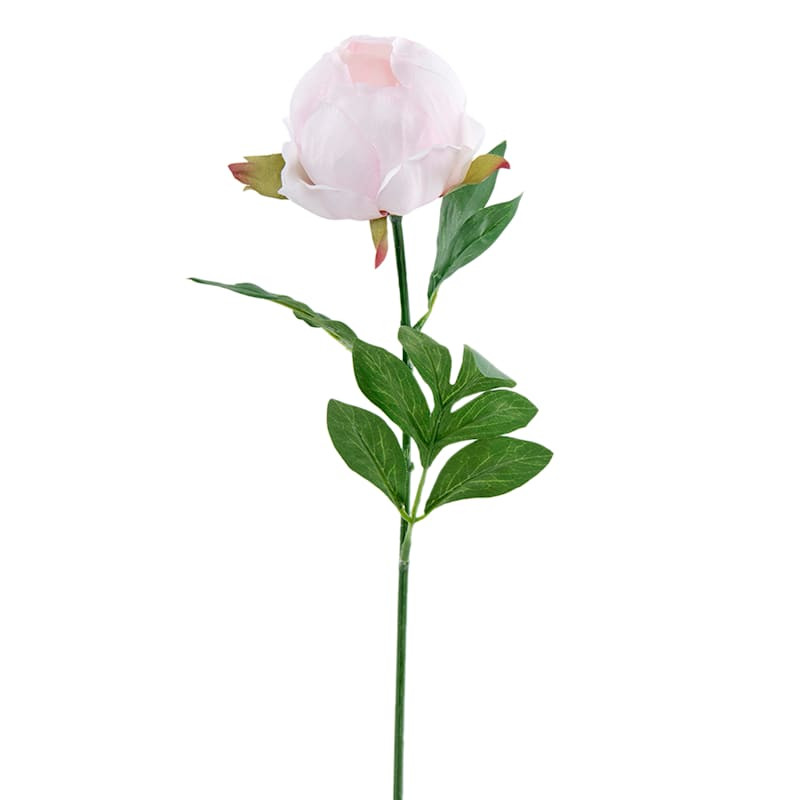 Light Pink Peony Floral Stem, 25" | At Home