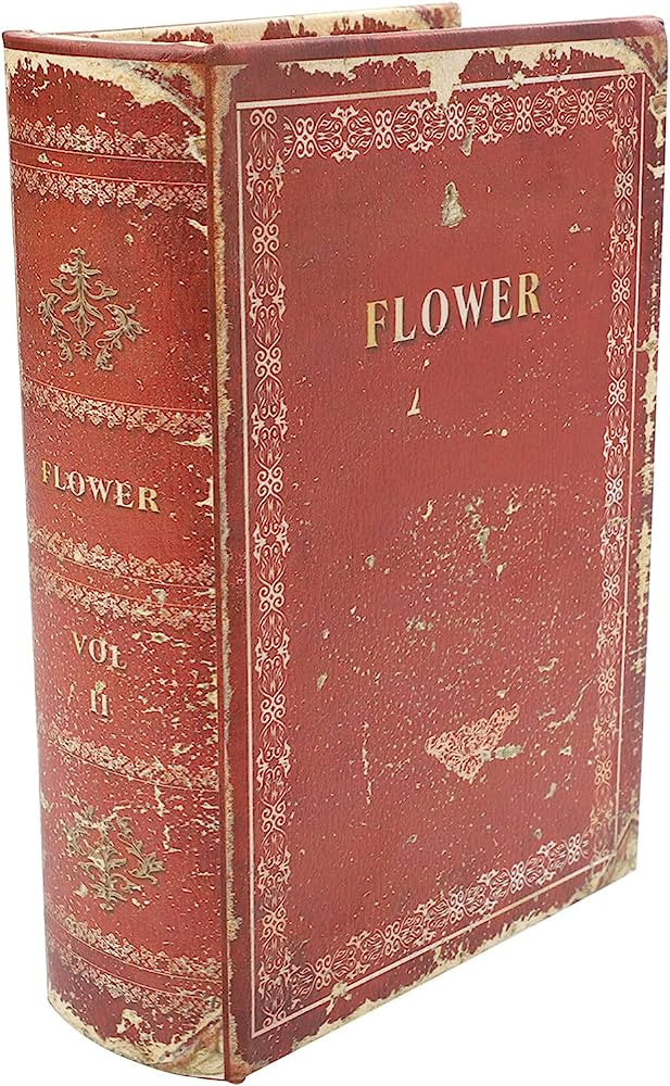 Vintage Storage Box Decorative Book Box Box Retro Fake Book Box Fake Book Model Fake Book Box Imi... | Amazon (US)