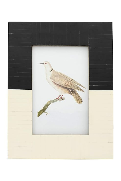Creative Co-op Black & White Resin Holds 4" x 6" Picture Frames and Photo Holders, Black | Amazon (US)