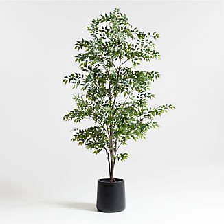 Artificial Ficus Tree 9' + Reviews | Crate & Barrel | Crate & Barrel
