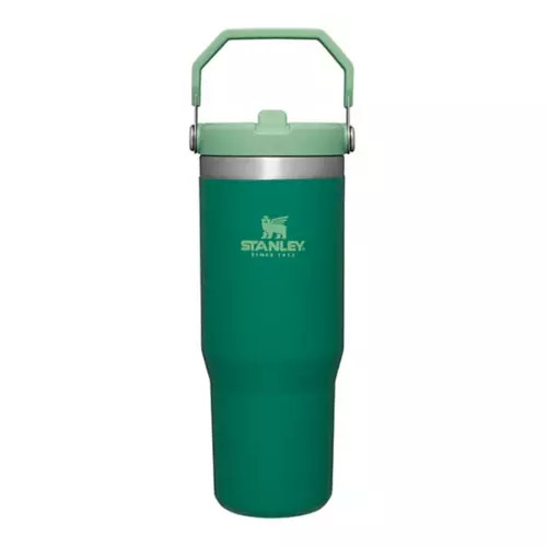 Stanley IceFlow 30 oz Flip Straw Tumbler | Scheels