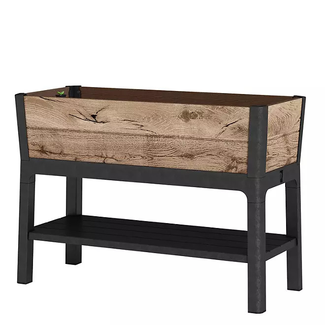 Keter Signature Collection 29 Gal. Resin Elevated Garden Bed - Sam's Club | Sam's Club