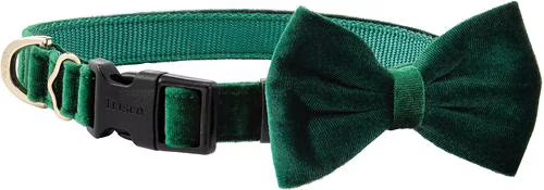 Frisco Velvet Dog Collar With Removable Velvet Bow, Green, SM - Neck: 10-14-in, Width: 5/8-in | Chewy
