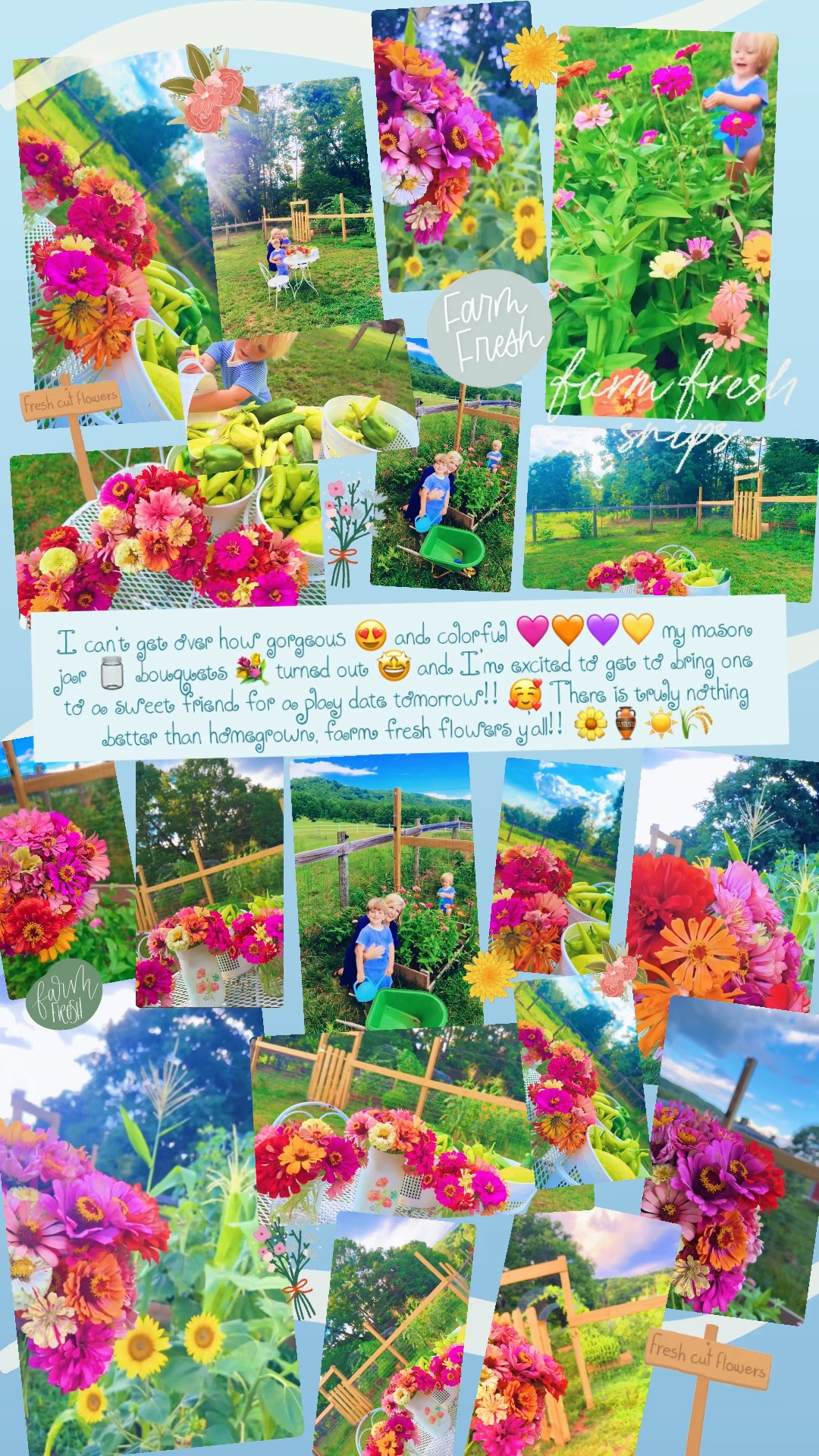 I can’t get over how gorgeous 😍 and colorful 🩷🧡💜💛 my mason jar 🫙 bouquets 💐 turned out 🤩 and I’m excited to get to bring one to a sweet friend for a play date tomorrow!! 🥰 There is truly nothing better than homegrown, farm fresh flowers y’all!! 🌼🏺☀️🌾