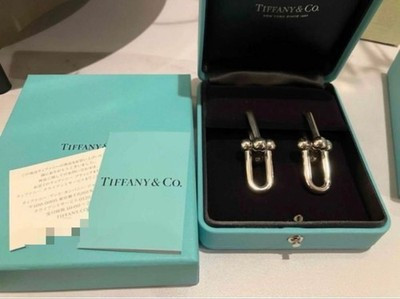 Tiffany Hardware Link Earrings | eBay UK