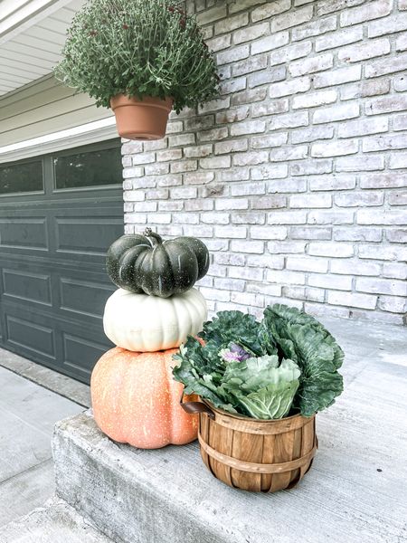 Fall front porch decor pumpkin topiary and faux cabbage 

#LTKhome #LTKunder100 #LTKSeasonal