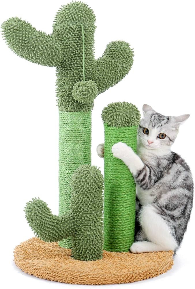 PAWZ Road Cat Scratching Post Cactus Cat Scratcher Featuring with 3 Scratching Poles and Interact... | Amazon (US)