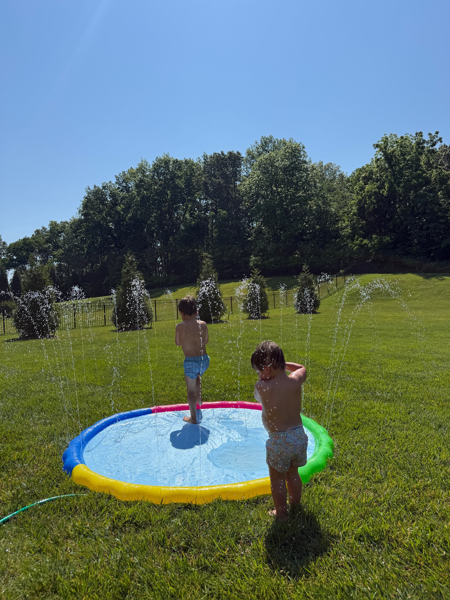 Fun water sprinkler for hot summer days!!

water sprinkler, backyard, outdoor fun, kids toys, summer, boy mom, Grace White

#LTKSwim #LTKBaby #LTKKids