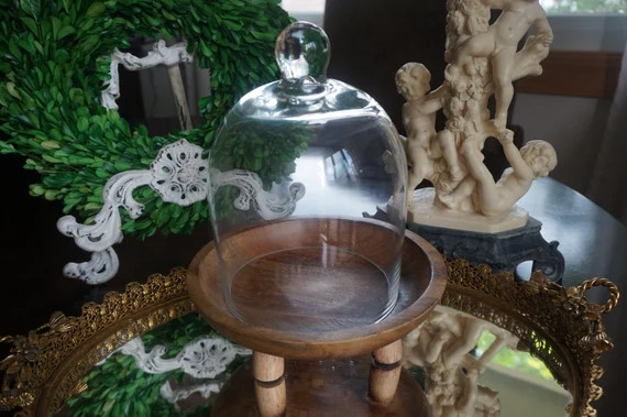 Beautiful, Glass Cloche with Wood Pedestal | Etsy (US)