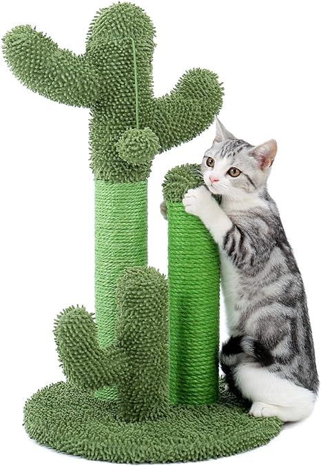 PAWZ Road Cat Scratching Post Cactus Cat Scratcher Featuring with 3 Scratching Poles and Dangling... | Amazon (US)