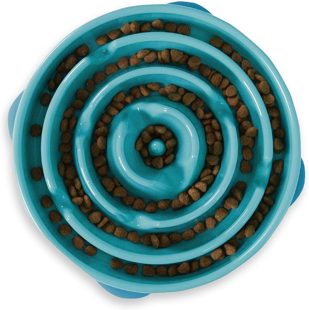 Outward Hound Fun Feeder Slo Bowl, Slow Feeder Dog Bowl, Large/Regular, Turquoise | Amazon (US)
