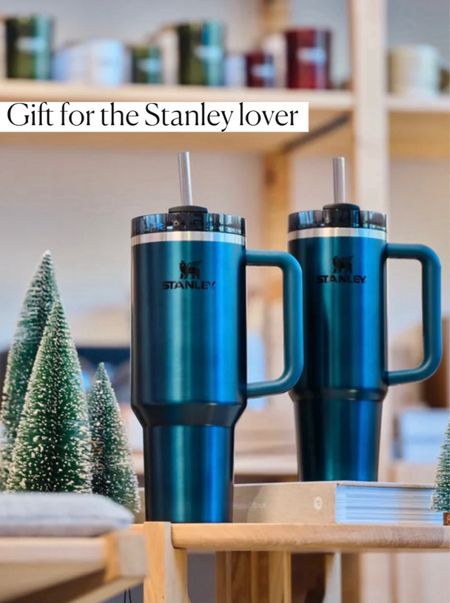 Stanley cup
Stanley mug

#LTKfindsunder50 #LTKGiftGuide