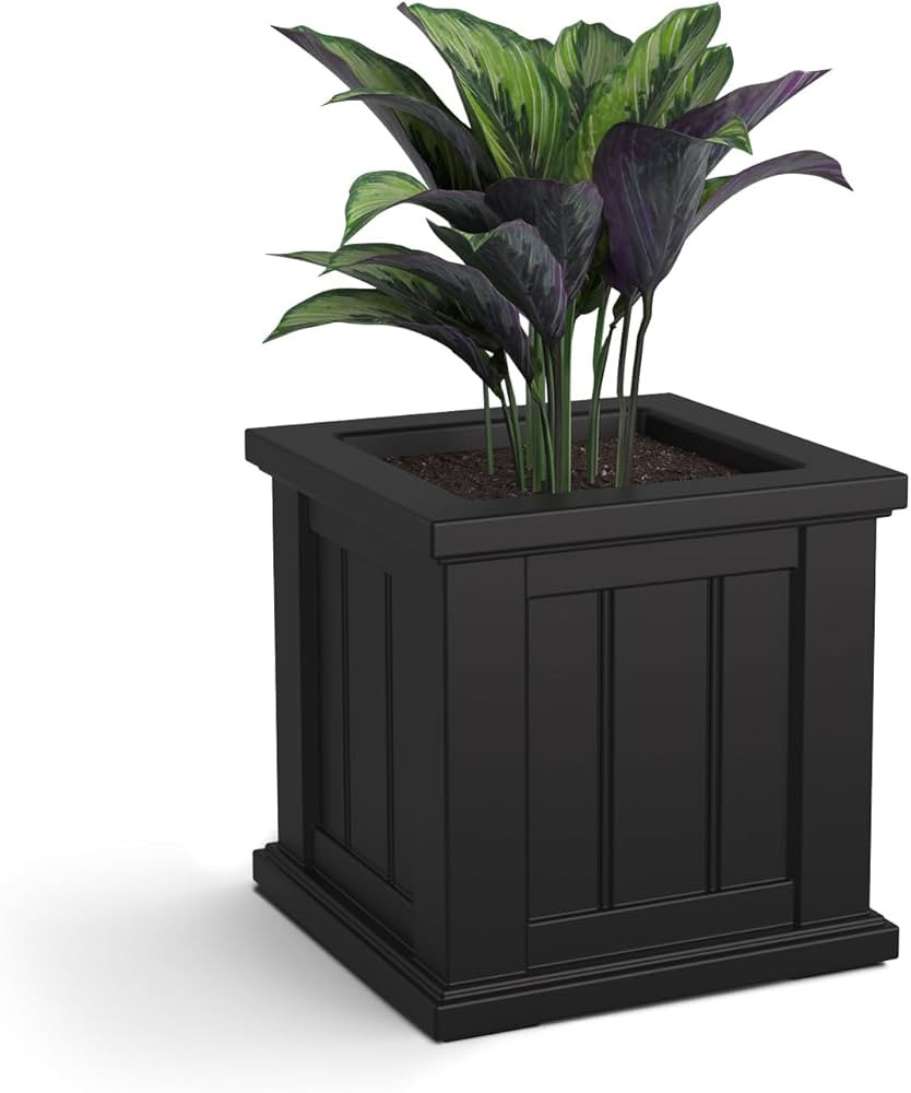 Mayne 4836B Cape Cod 14in Square Planter, 14in L x 14in W x 14in H, Black | Amazon (US)