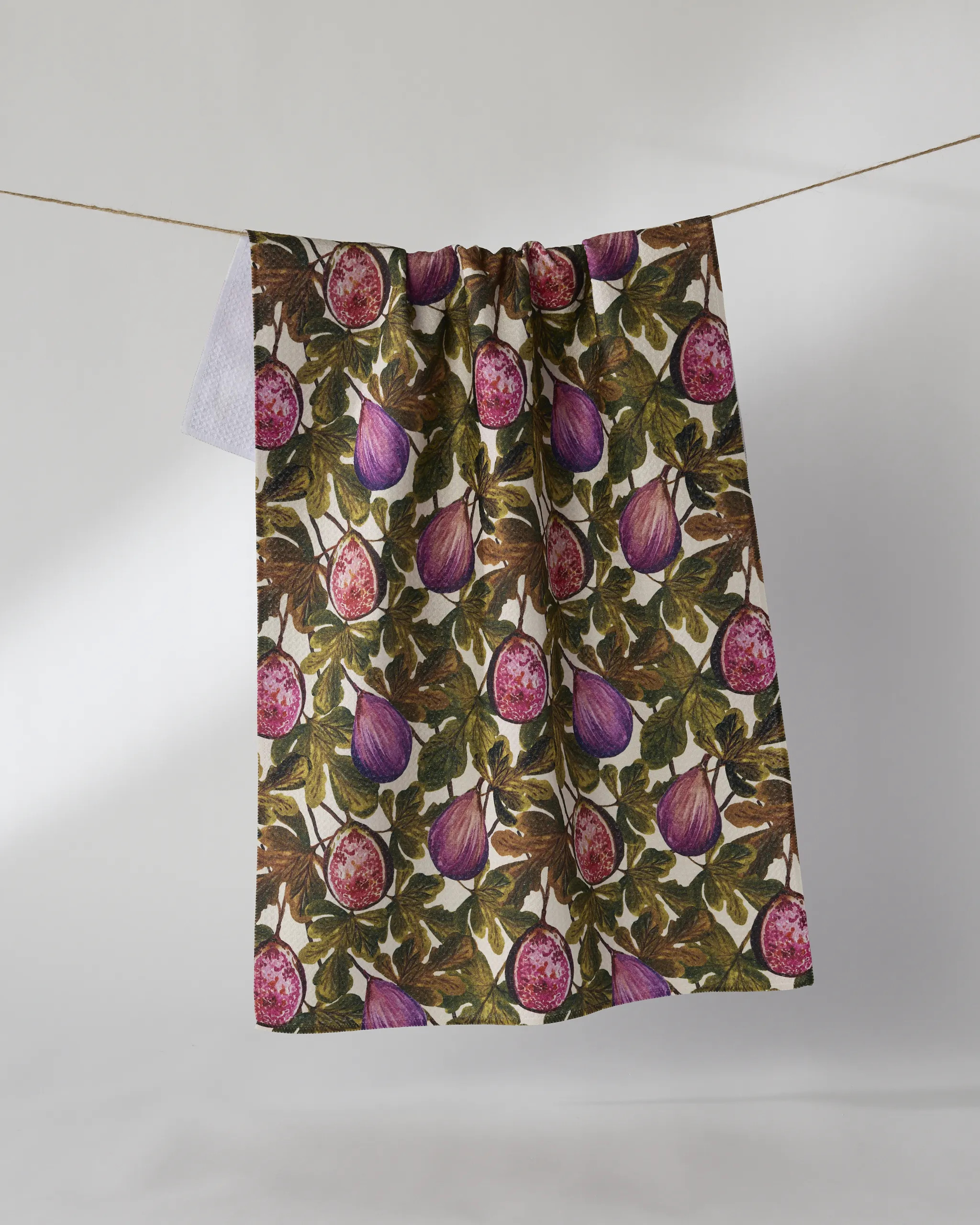 Wild Fig | Geometry