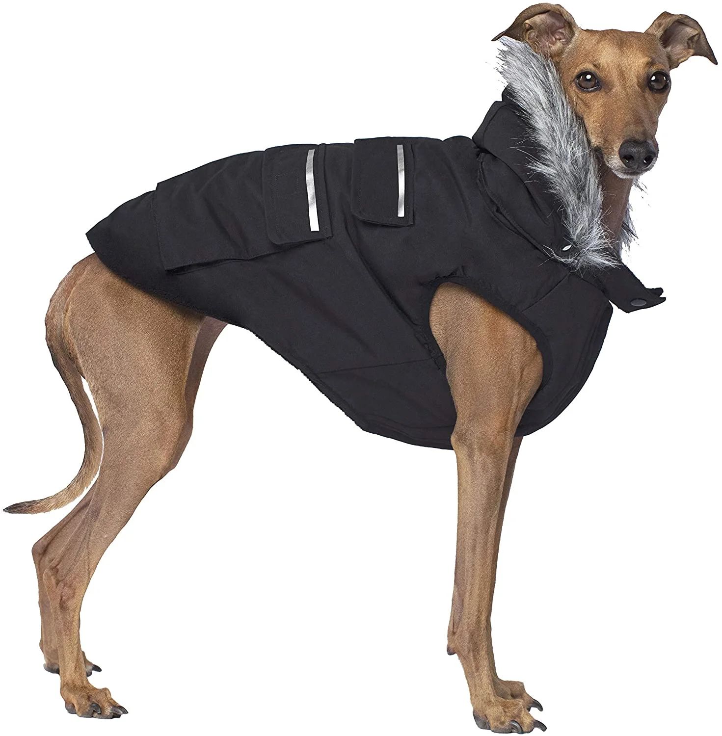Canada Pooch Everest Explorer Size 20 Black Fleece Lined Insulated Dog Coat | Walmart (US)