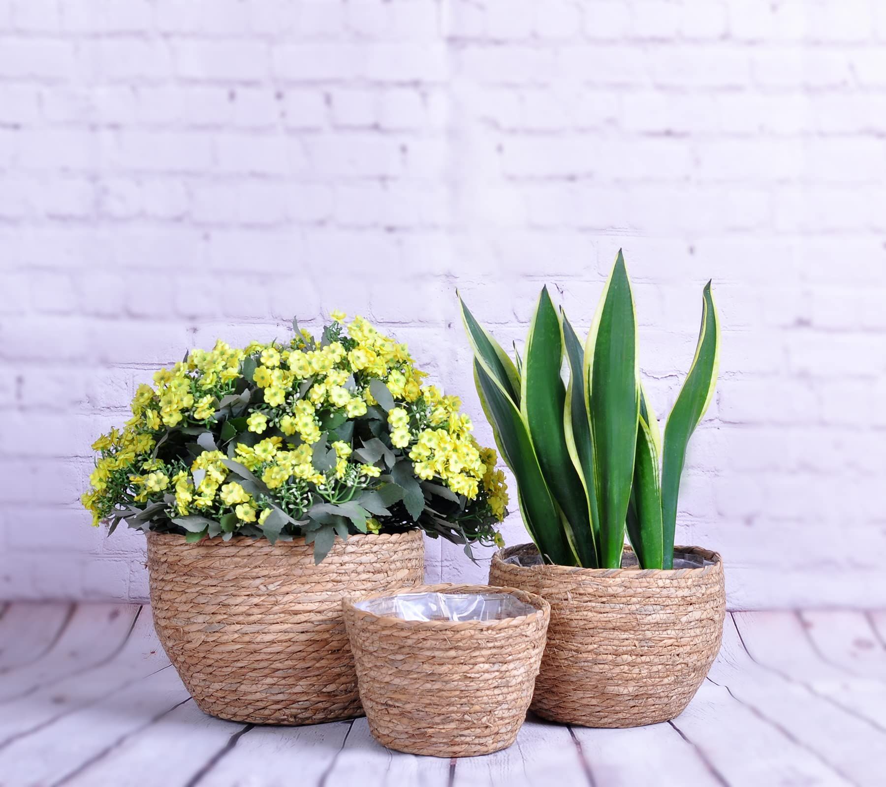 Seagrass Planter Basket Indoor Outdoor Garden, Hand-Woven Flower Pots Cover, Plant Containers, De... | Amazon (US)