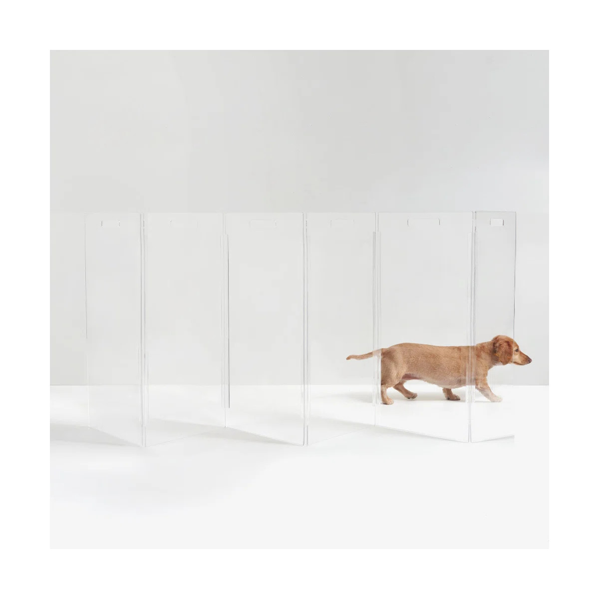 Tall Zig Zag Clear Pet Gate | Wayfair North America