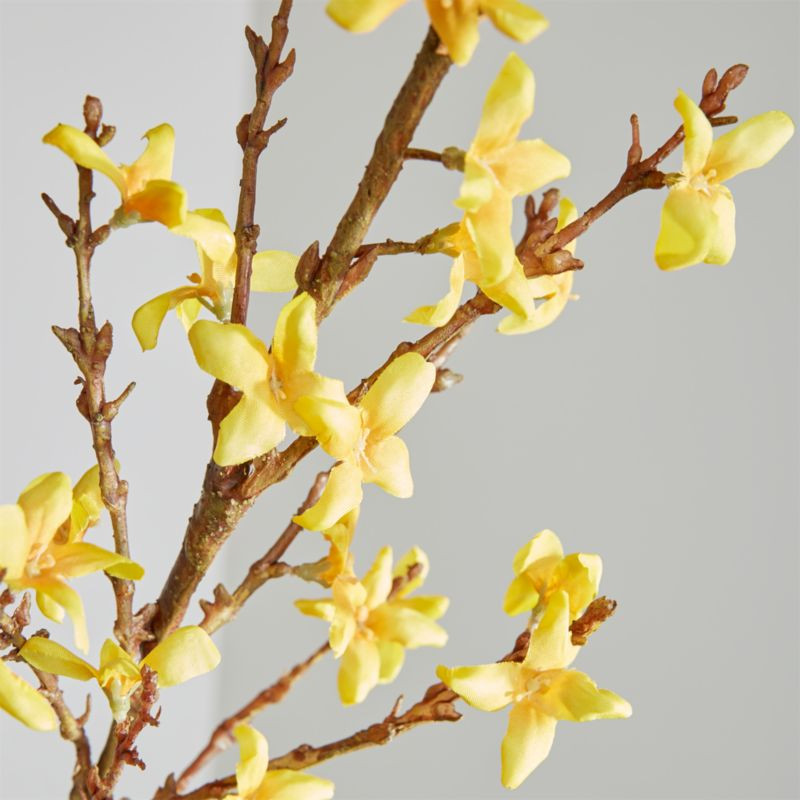 Forsythia Artificial Flower Stem + Reviews | Crate and Barrel | Crate & Barrel