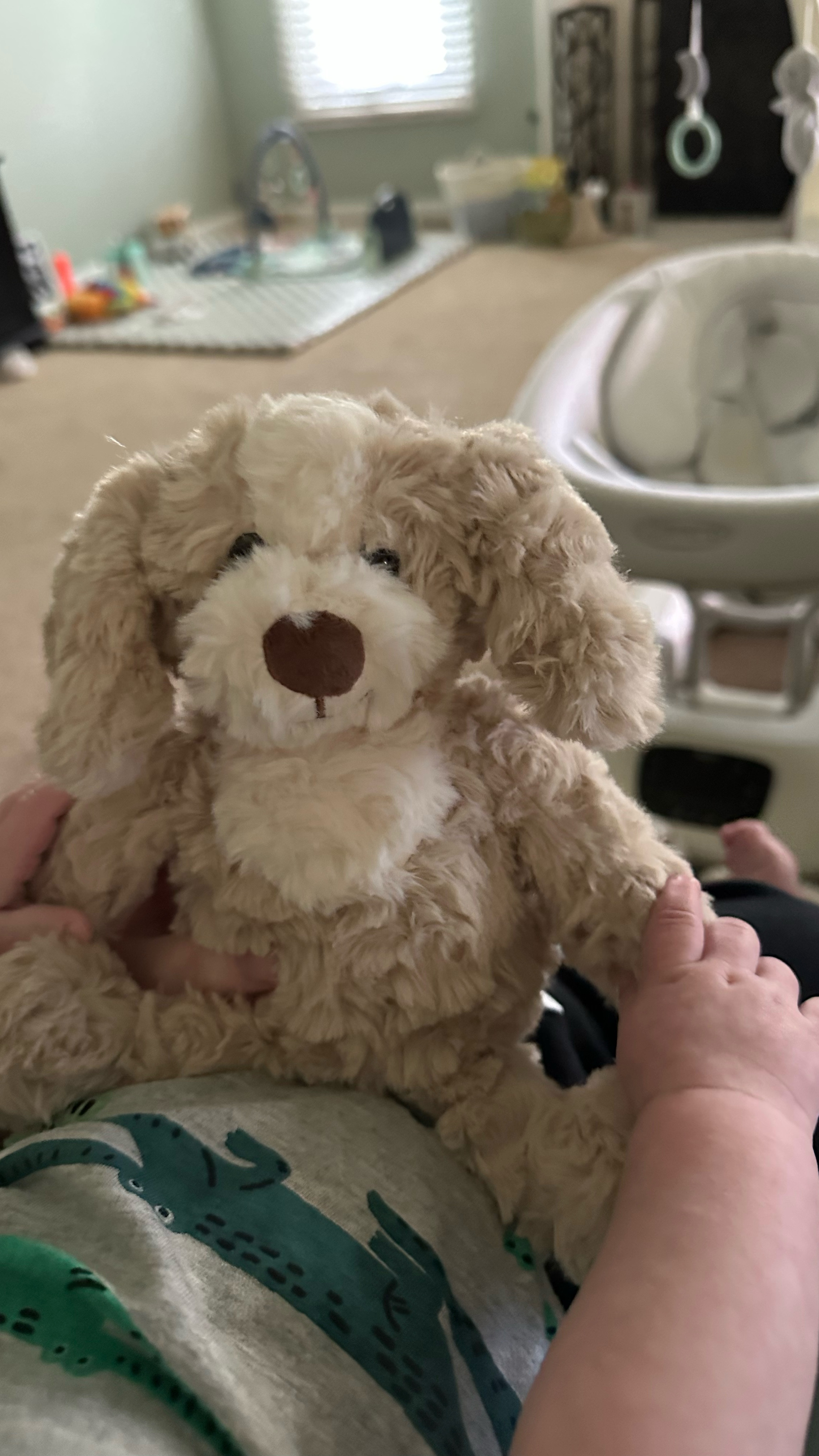 Nathan is loving his sweet little puppy named Parker. It’s the perfect size for him to snuggle and so cuddly. It would make the perfect baby gift. 

#LTKBump #LTKKids #LTKBaby
