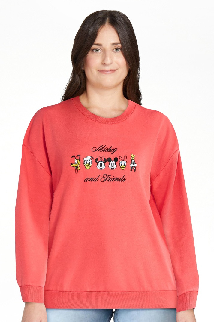 Disney Mickey and Friends Women's Graphic Crewneck Sweatshirt, Sizes XXS-XXL | Walmart (US)