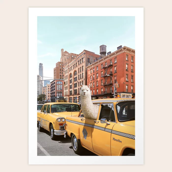 Alpaca in New York Art Print by Paul Fuentes Photo | Society6