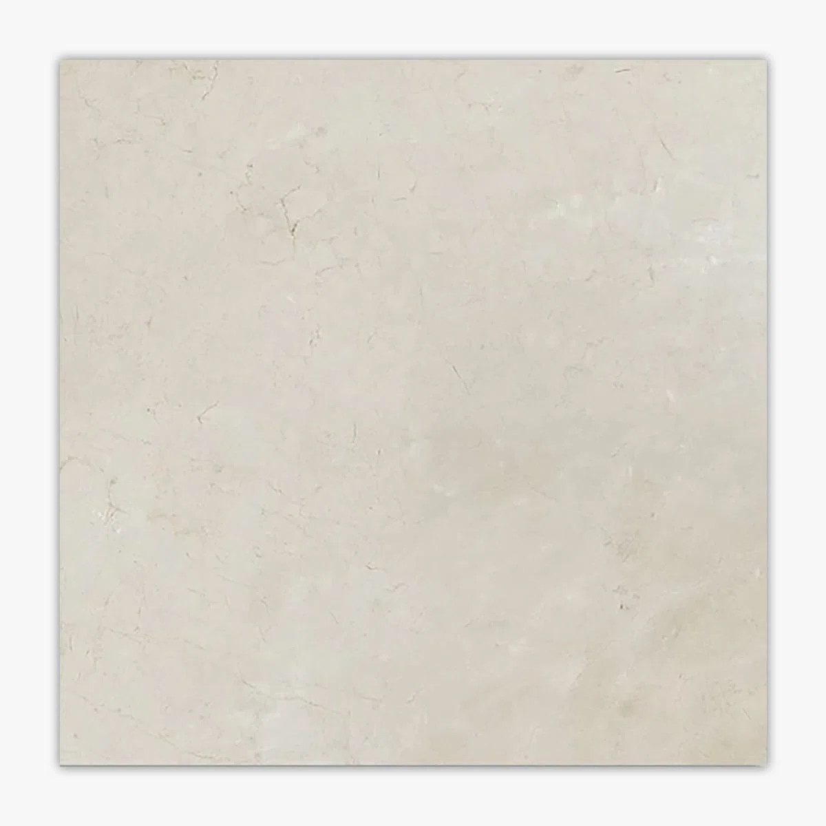 Crema Marfil Polished 24x24 Marble Tile | Wayfair North America