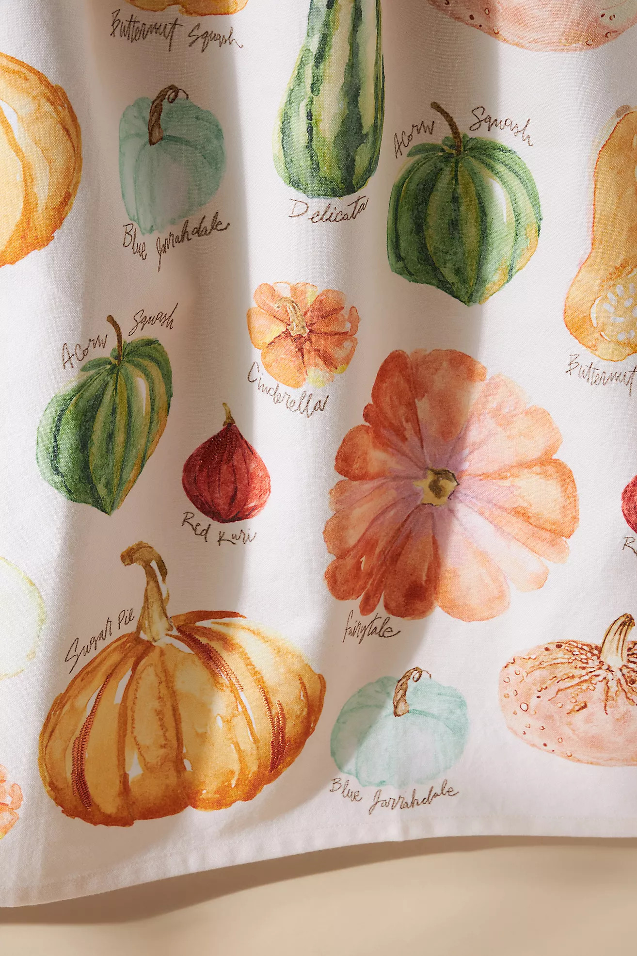 Types of Pumpkins Dish Towel | Anthropologie (US)