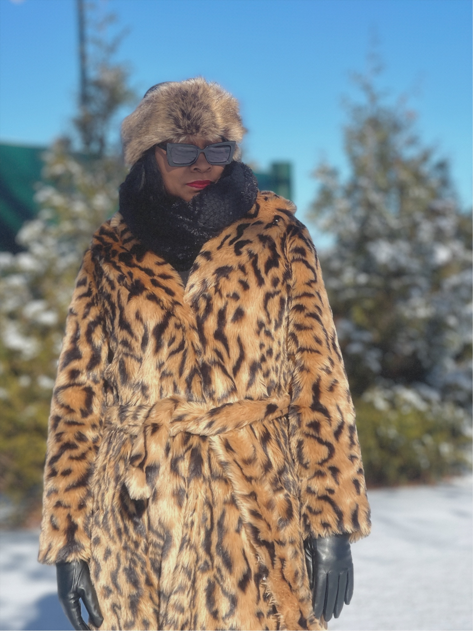 Winter Coat 🧥Hat 👒Gloves 🧤Scarf🧣 

#LTKStyleTip