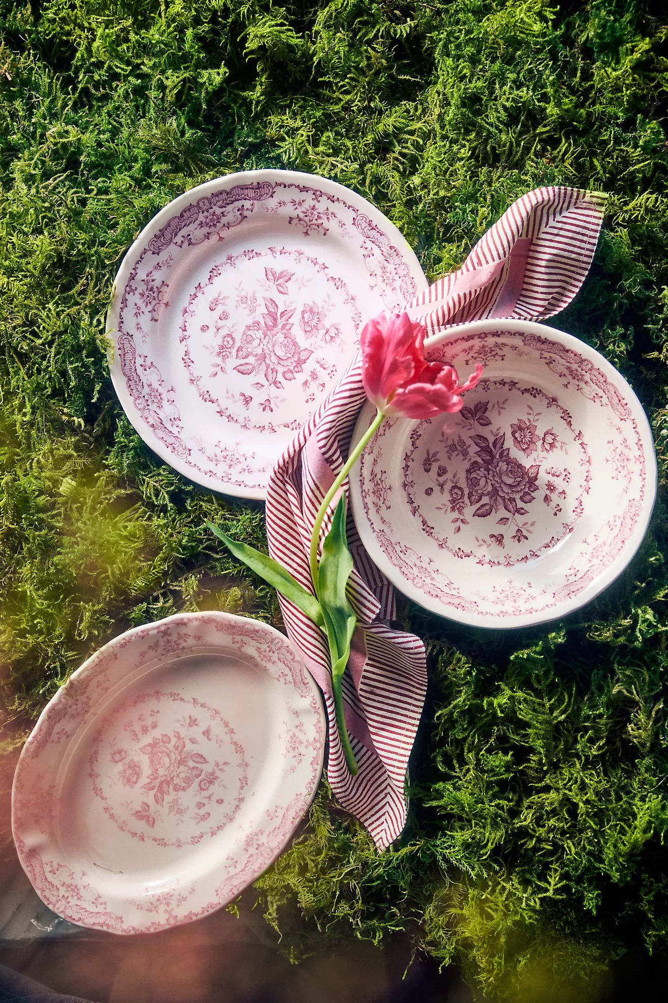 Pink Floral Dinner Plate | Anthropologie (US)