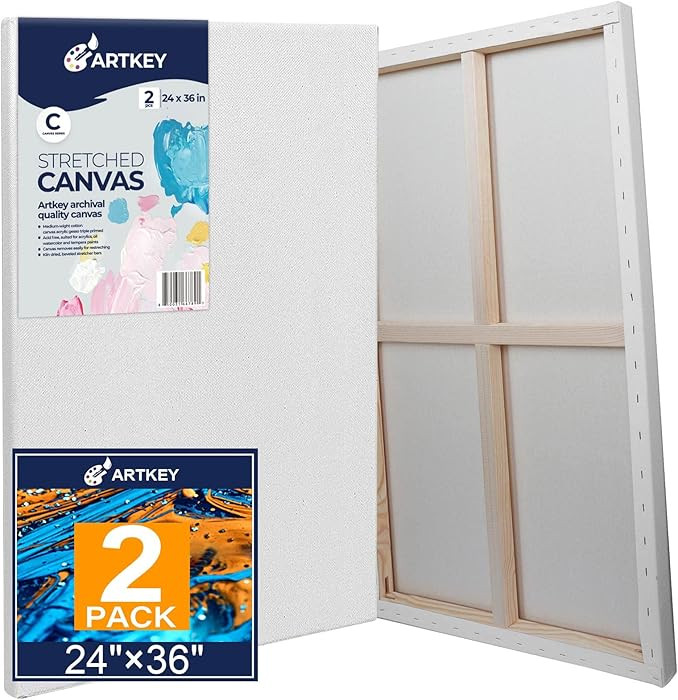 Stretched Canvases for Painting 24x36 Inch 2-Pack, 12.3 oz Triple Primed Acid-Free 100% Cotton Bl... | Amazon (CA)