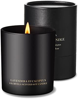 olorvela Candles for Men Wood Wicked Candles for Home Scented Mens Candle Aromatherapy 8oz, 50hr ... | Amazon (US)