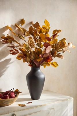 Preserved Fagus Bunch | Anthropologie (US)
