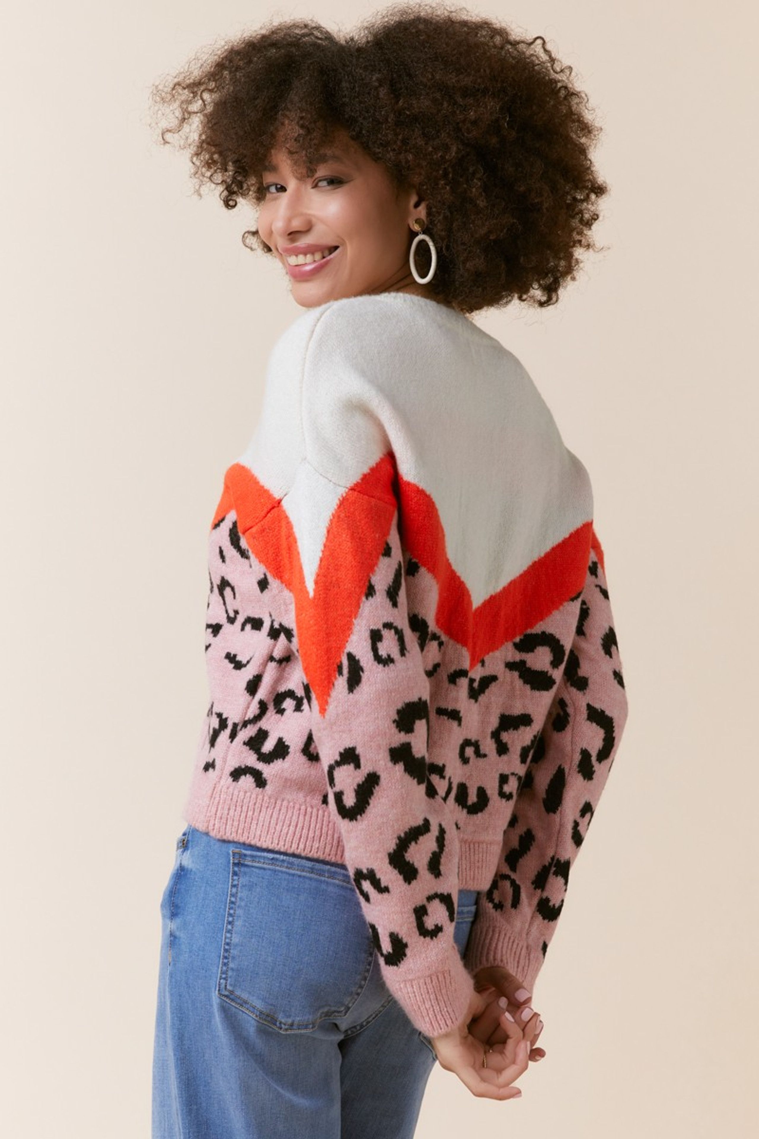 Sybil Animal Print Color Block Pullover | Francesca's