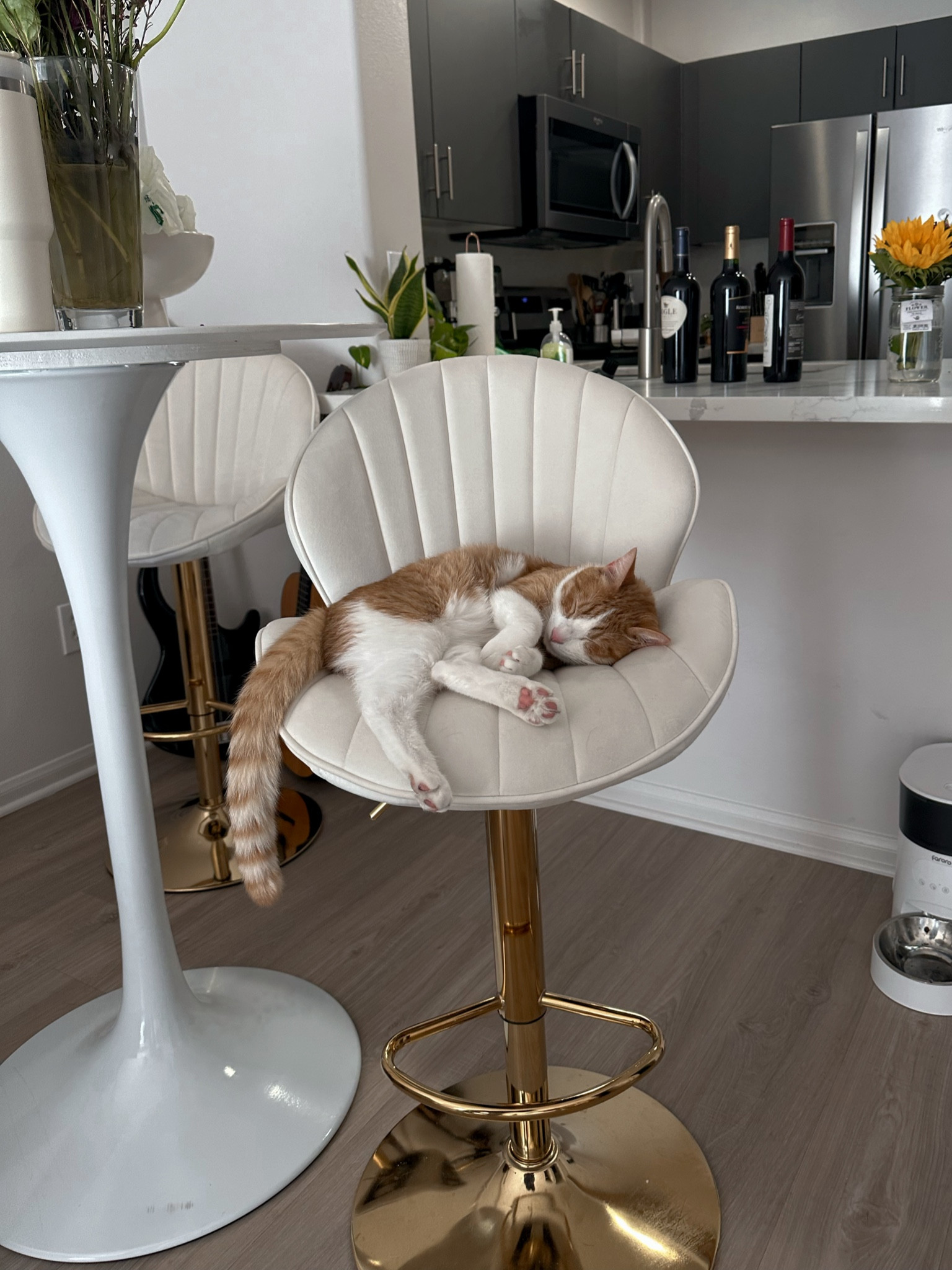 Favorite barstools!!! Got them together for under 200 

LTK Home | LTK Find | LTK Style tip 

#LTKFind #LTKstyletip #LTKhome