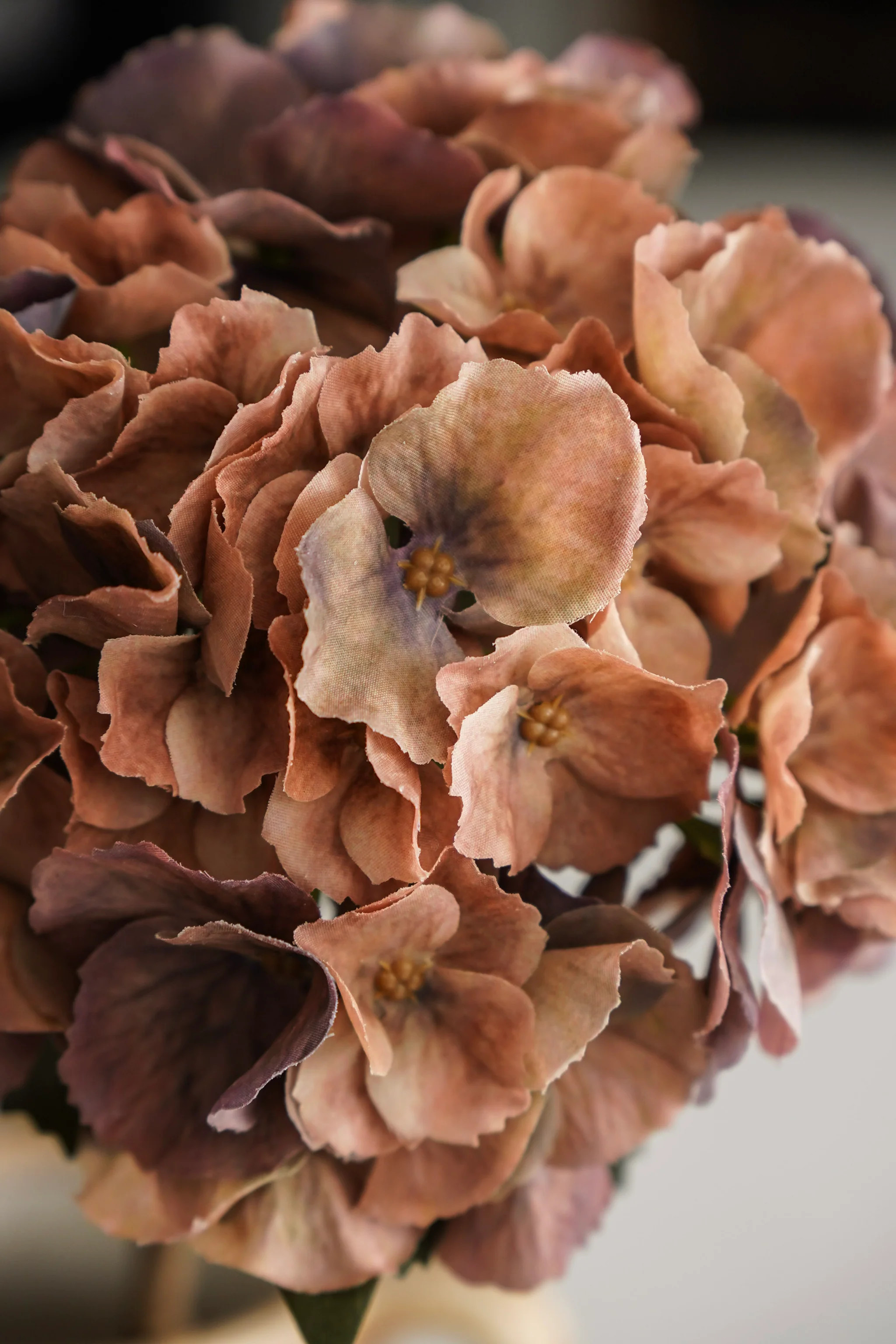 Faded Mocha Hydrangea Stem | MJHome