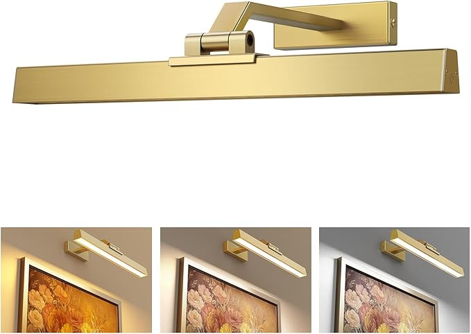 Picture Lights for Wall, Brushed Gold Battery Operated Picture Light 16in Art Light CCT Dimmable ... | Amazon (US)