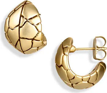 Byron Hoop Earrings | Nordstrom
