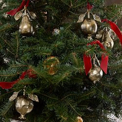 Josh Young x Williams Sonoma Home Fruit Ornaments, Set of 3 | Williams-Sonoma