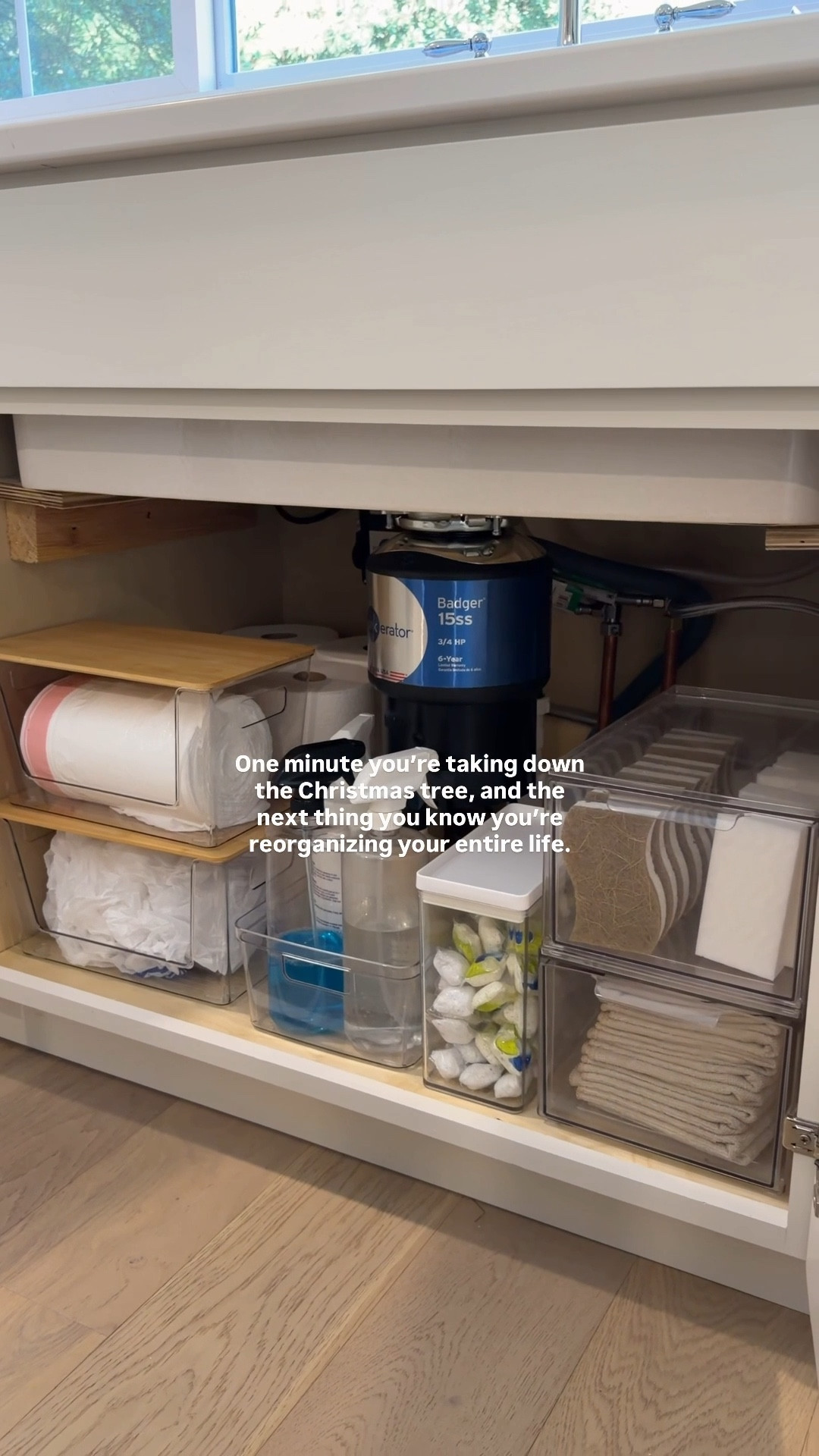 Under kitchen sink organization 🫧 

#LTKHome