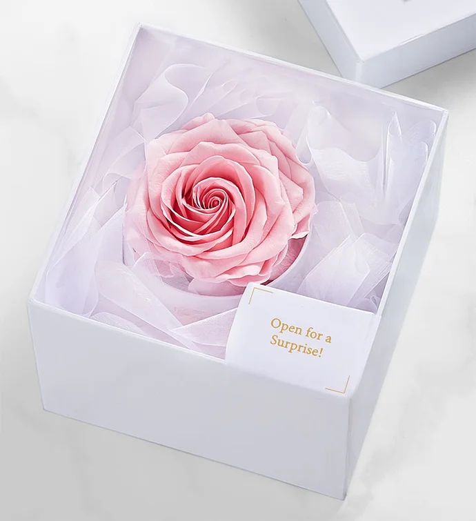 Magnificent Roses Preserved Pink Rose | 1800flowers.com