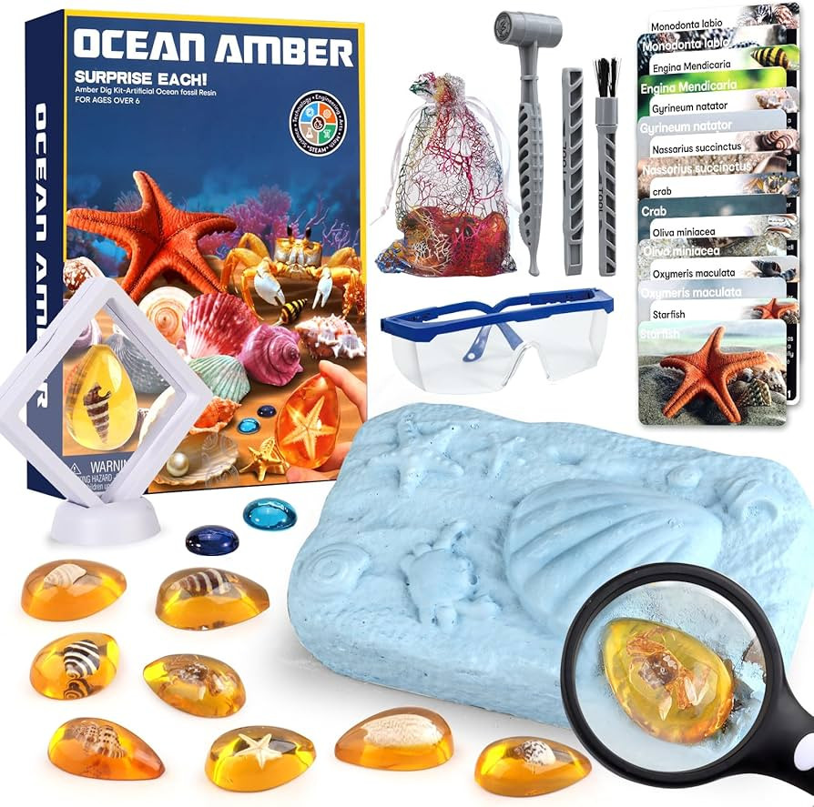 Ocean Dig Kit - 8 Specimens Excavation Kit, Gemstone for Kids, Fossil Ocean Toys Dig Kits for Amb... | Amazon (US)