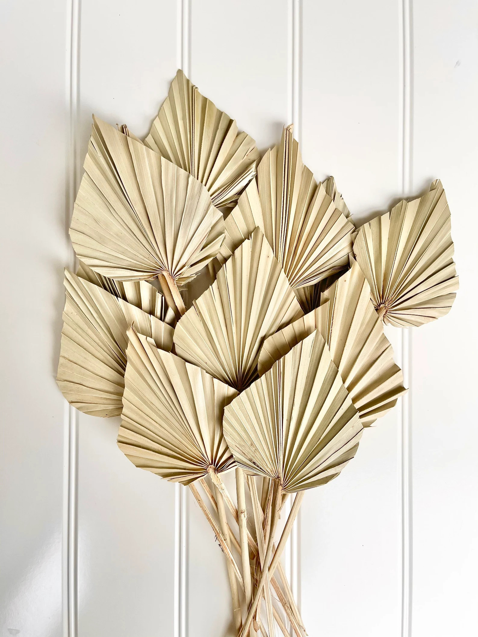 Dried Preserved Natural Palm Spear | Dried Flower Floral Design | Boho Arrangement | DIY Dried Fl... | Etsy (US)